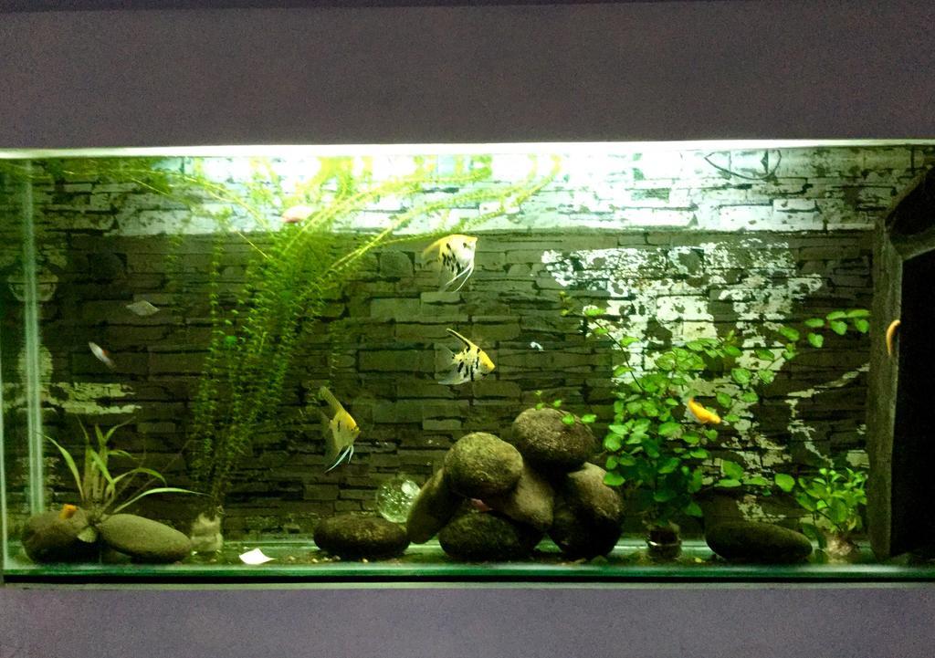 Ha My Guesthouse 다낭 외부 사진