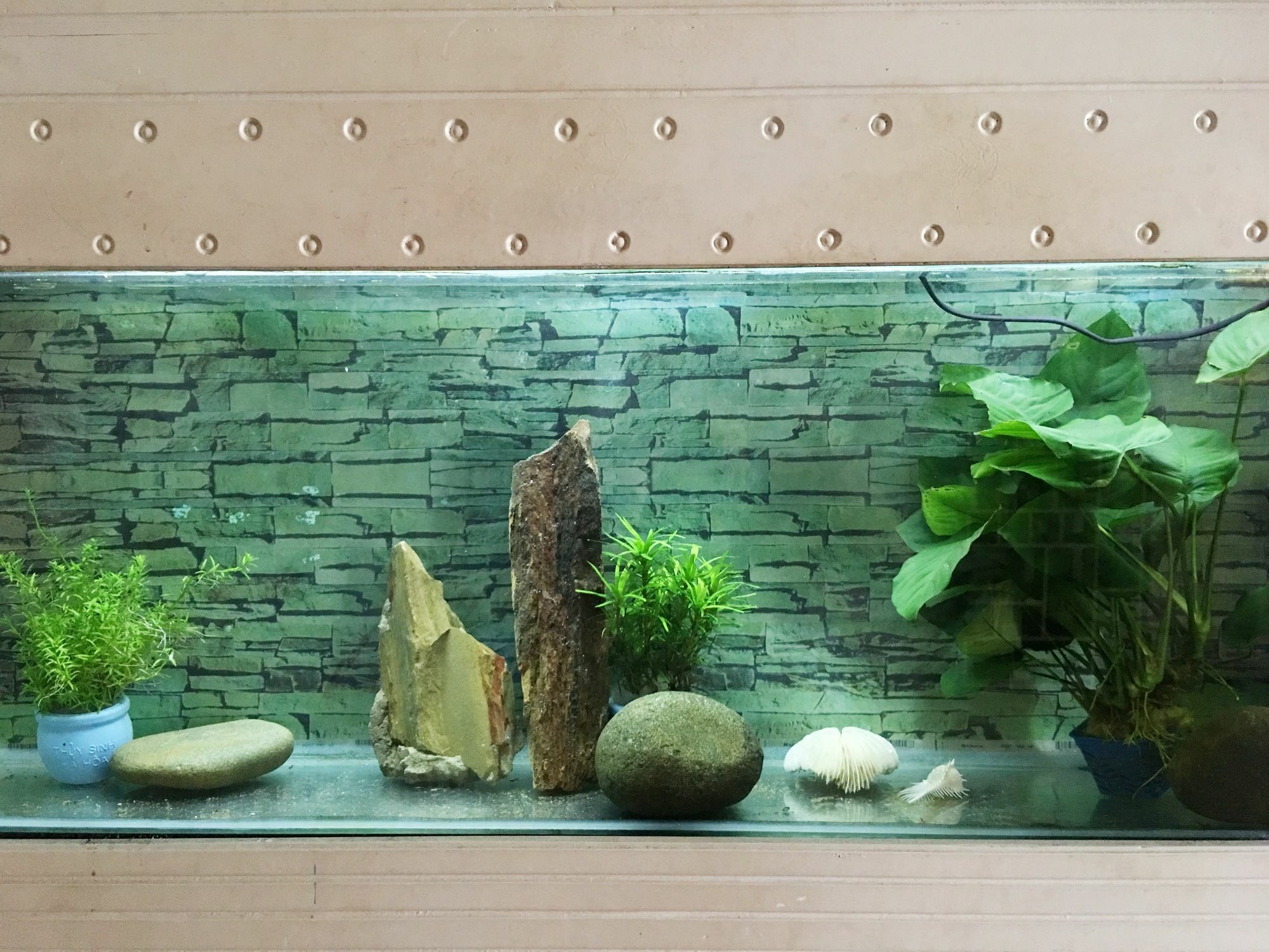 Ha My Guesthouse 다낭 외부 사진